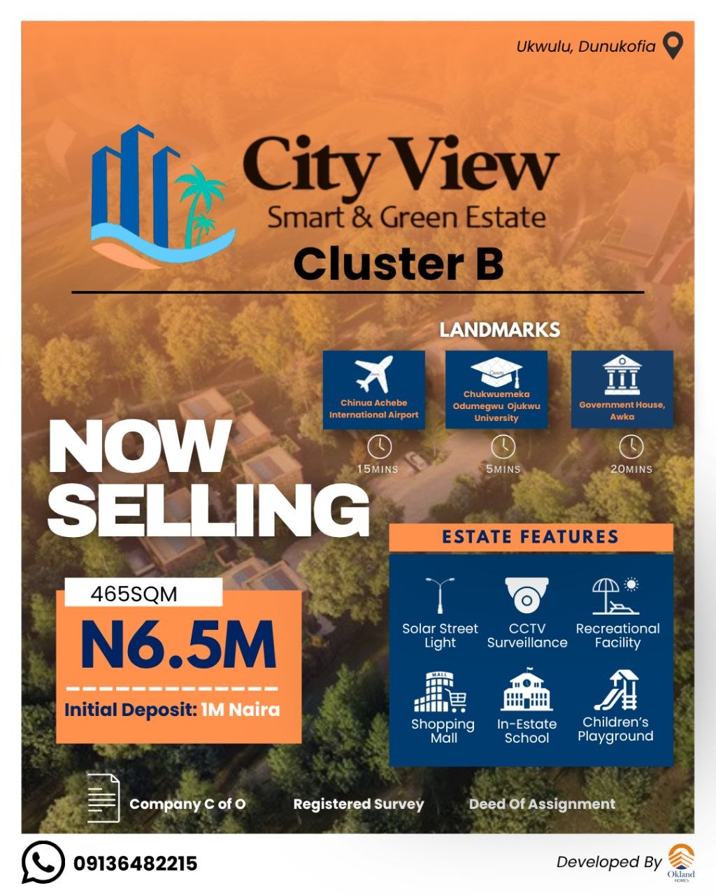 City View Cluster B flyer